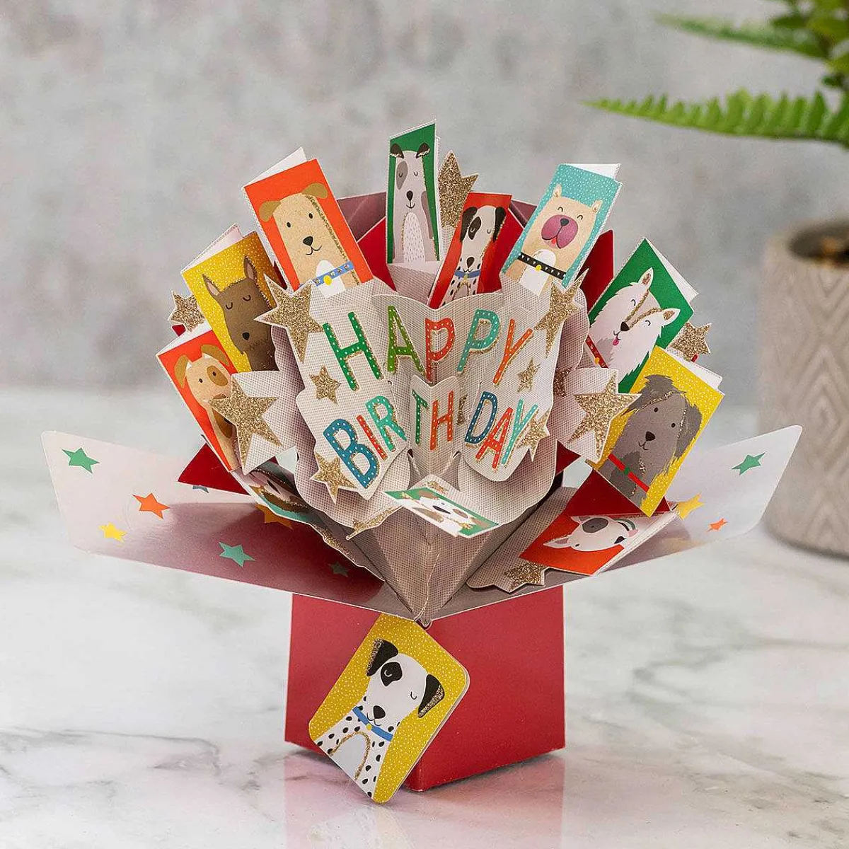 'Happy Birthday' Pop Up Card>Second Nature Flash Sale