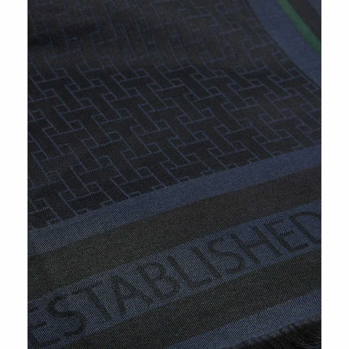 Caolie T Repeat Scarf>Ted Baker Cheap