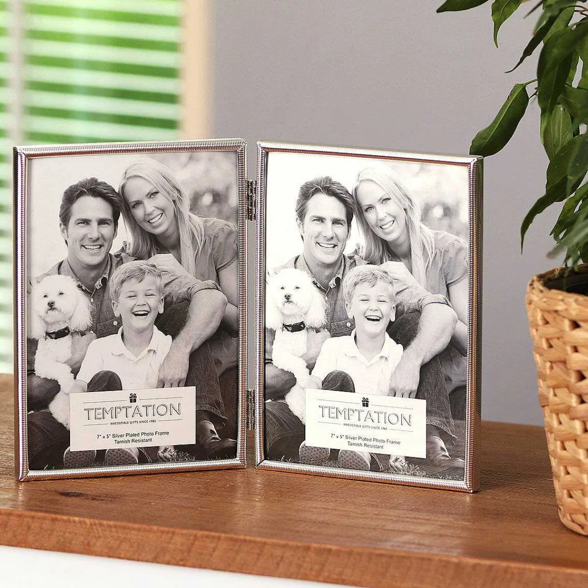 Silver-Plated Narrow Ribbed Double Frame 5X7>Temptation Store