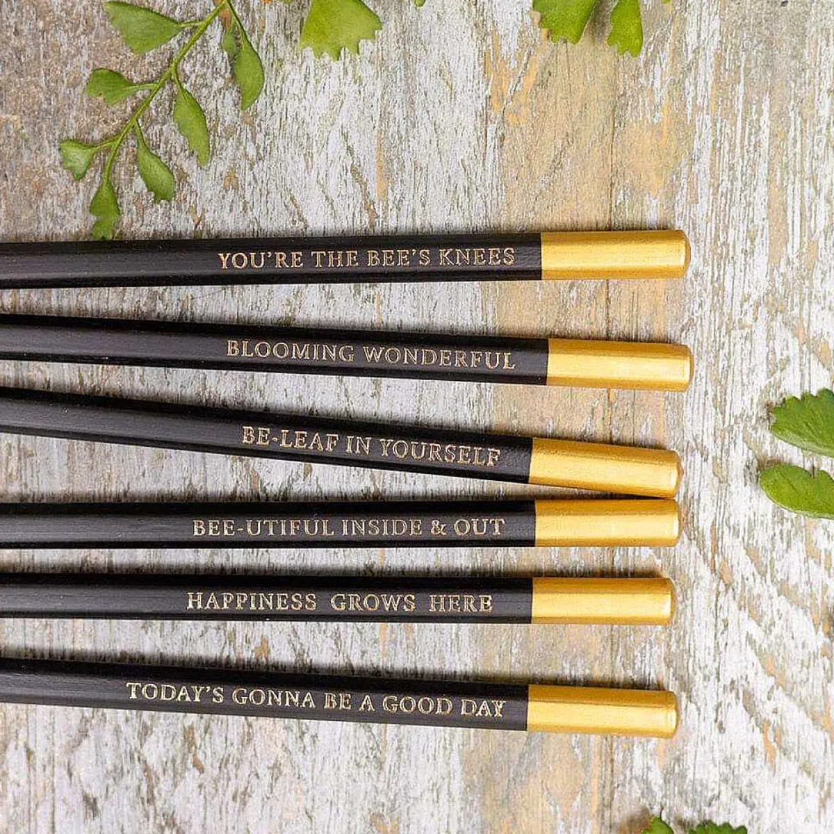 'Bee & Honeysuckle' Set Of 6 Pencils>Toasted Crumpet Best Sale