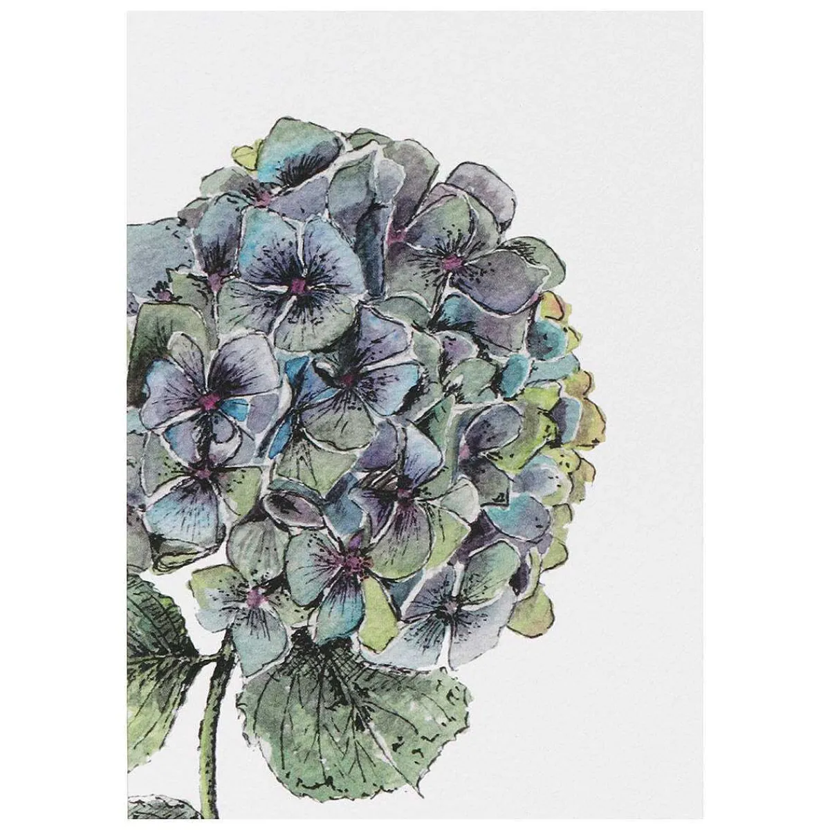 'Blooming Marvellous' Notecards Mixed Set Of 8>Toasted Crumpet Sale
