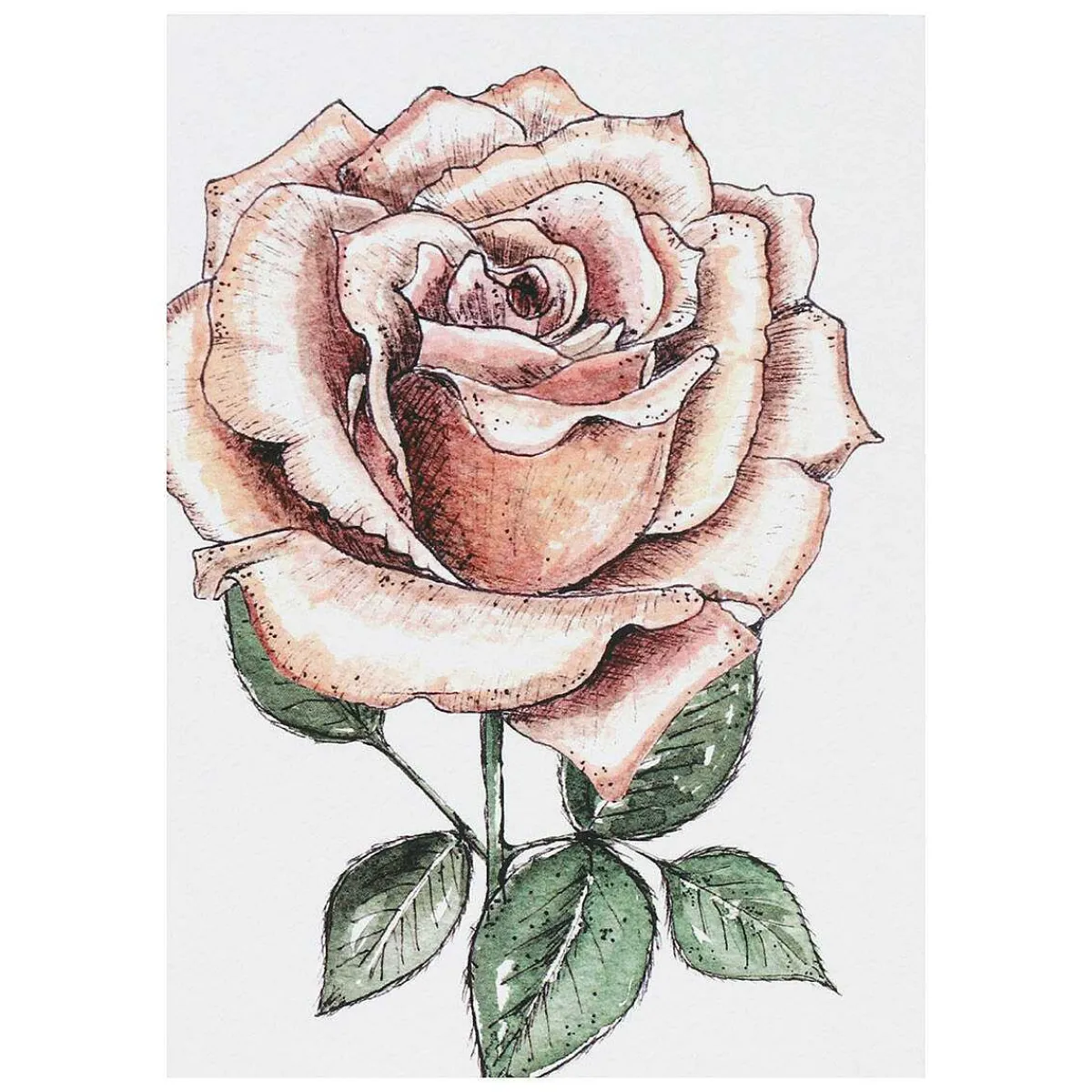 'Blooming Marvellous' Notecards Mixed Set Of 8>Toasted Crumpet Sale