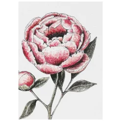 'Blooming Marvellous' Notecards Mixed Set Of 8><noscript><img width=