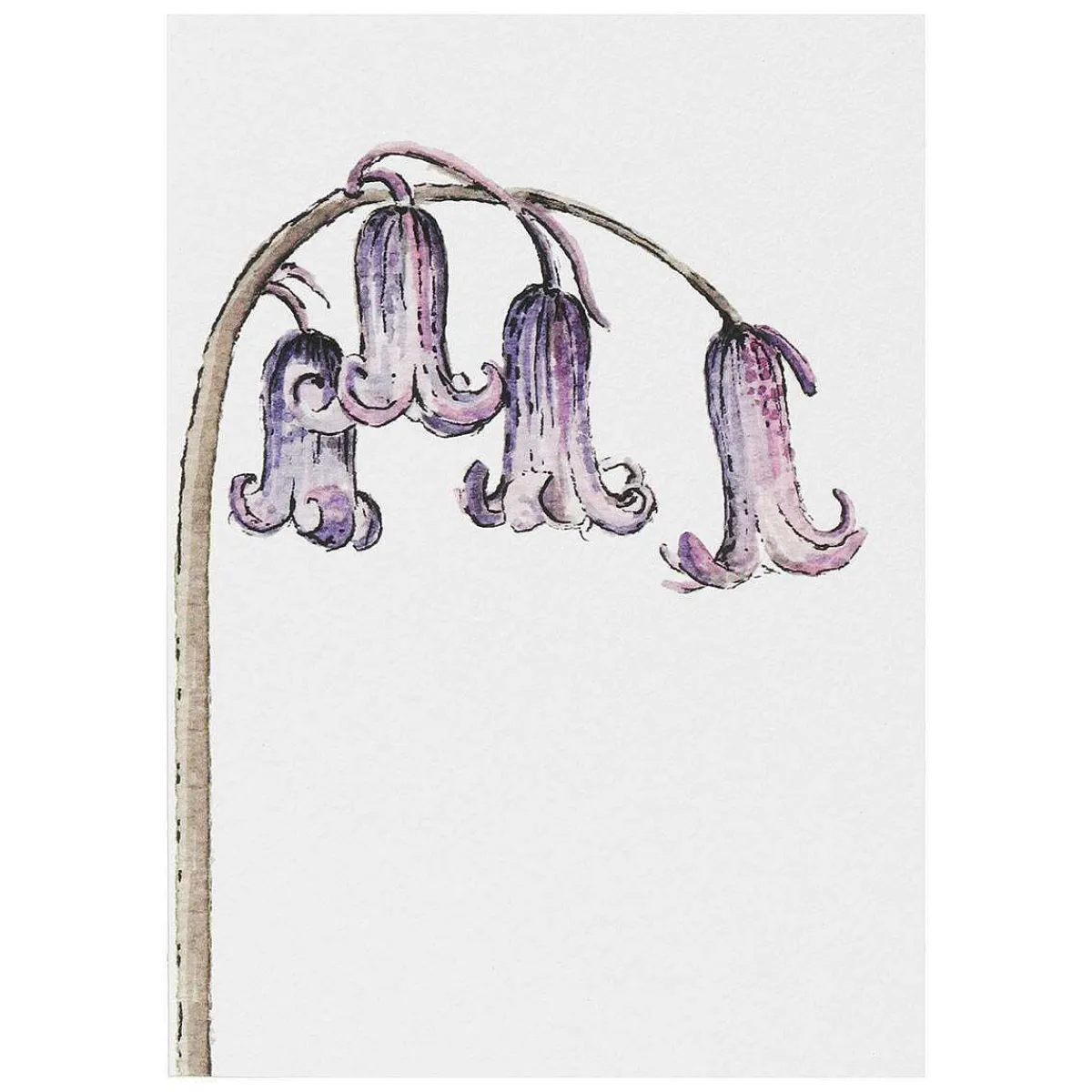 'Blooming Marvellous' Notecards Mixed Set Of 8>Toasted Crumpet Sale