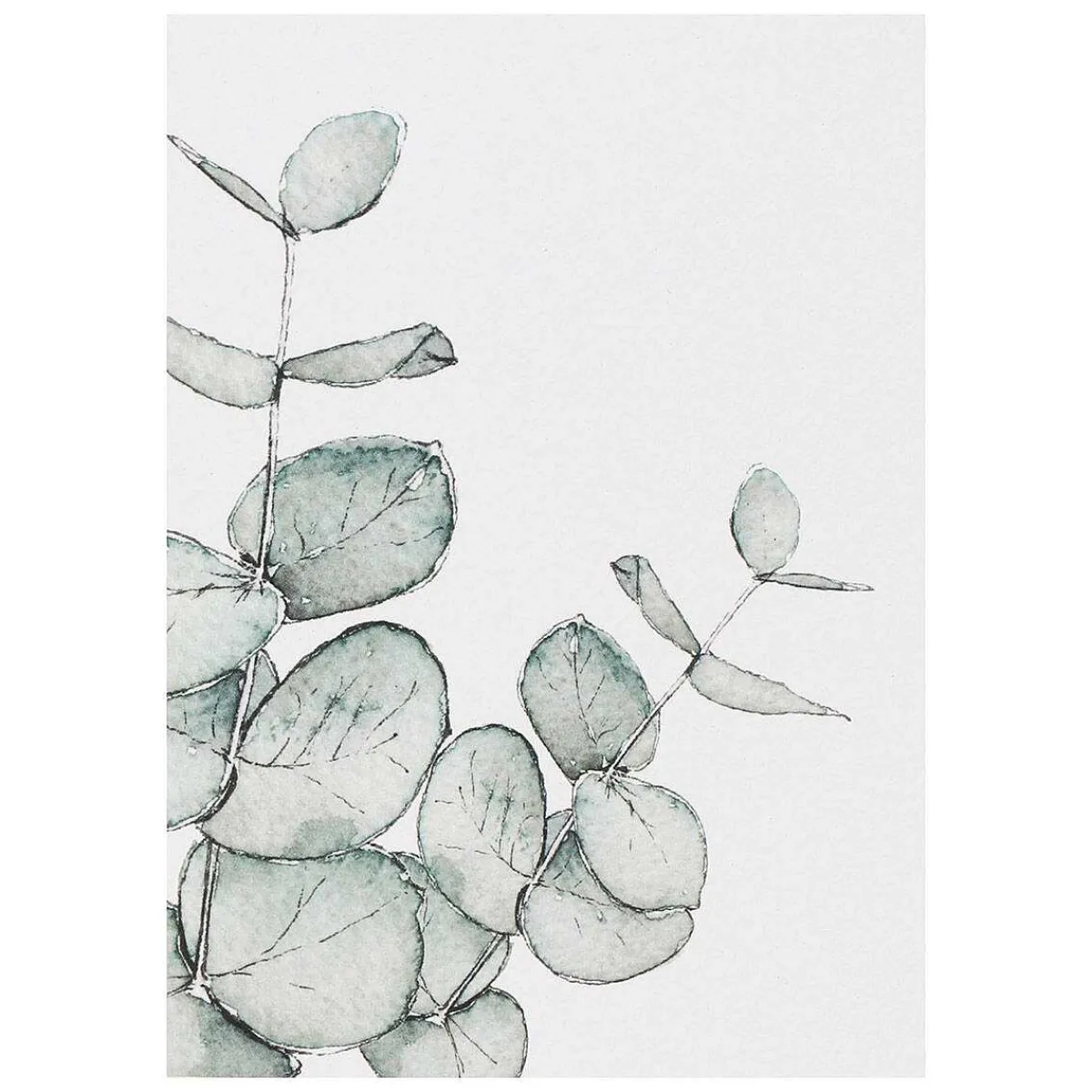 'Blooming Marvellous' Notecards Mixed Set Of 8>Toasted Crumpet Sale