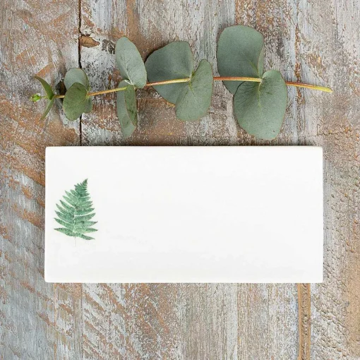 'Fern' Rectangular Soap Dish>Toasted Crumpet Sale