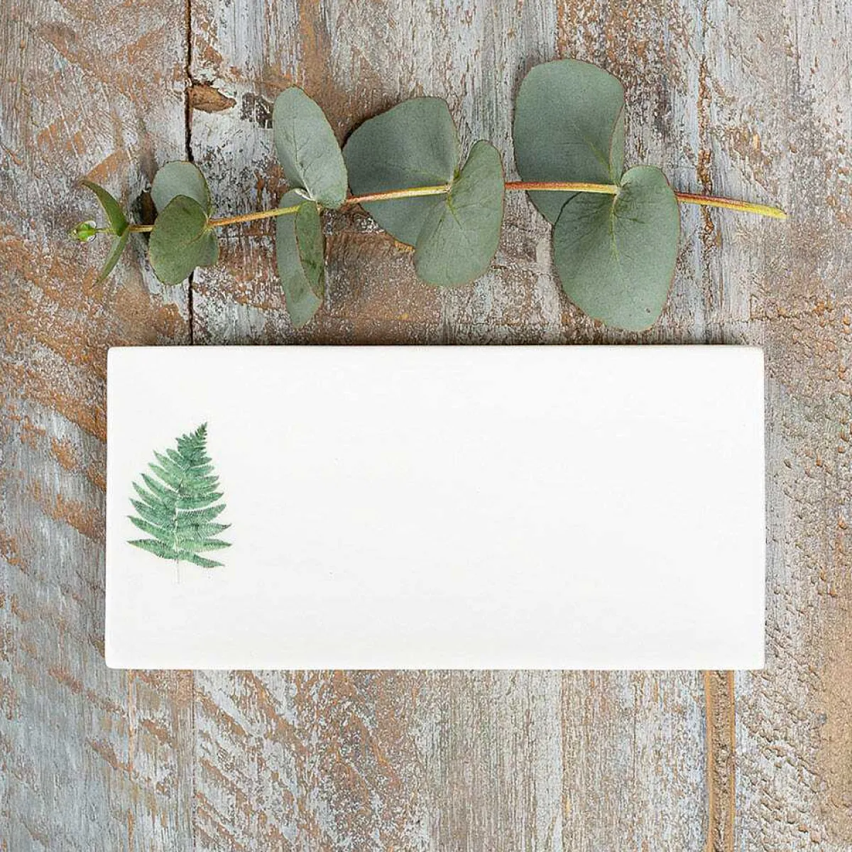'Fern' Rectangular Soap Dish>Toasted Crumpet Sale
