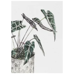 'Greenery' Notecards Mixed Set Of 8><noscript><img width=