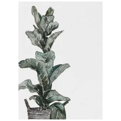 'Greenery' Notecards Mixed Set Of 8><noscript><img width=