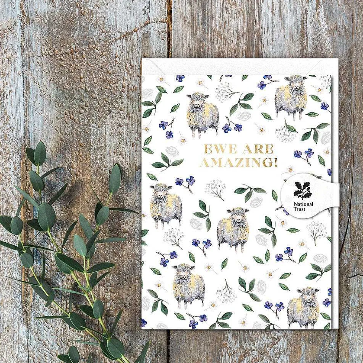 Sheep White 'Ewe Are Amazing' Mini Card>Toasted Crumpet Clearance