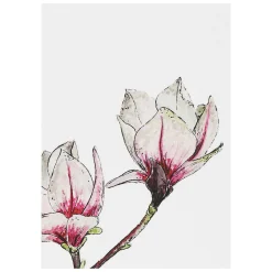'spring To Summer' Notecards Mixed Set Of 8>Toasted Crumpet Discount