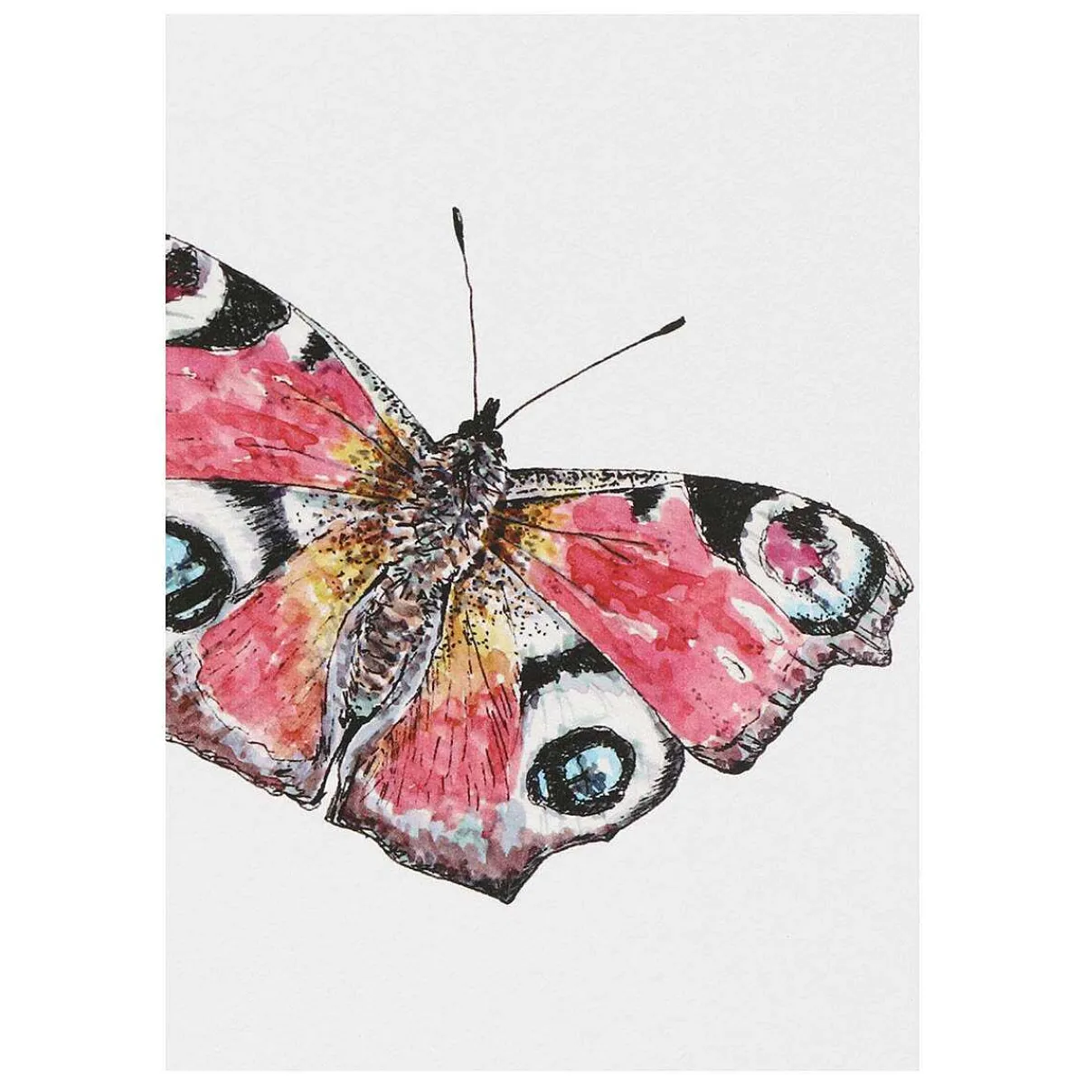 'spring To Summer' Notecards Mixed Set Of 8>Toasted Crumpet Discount