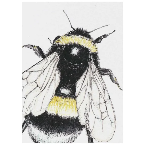 'spring To Summer' Notecards Mixed Set Of 8>Toasted Crumpet Discount
