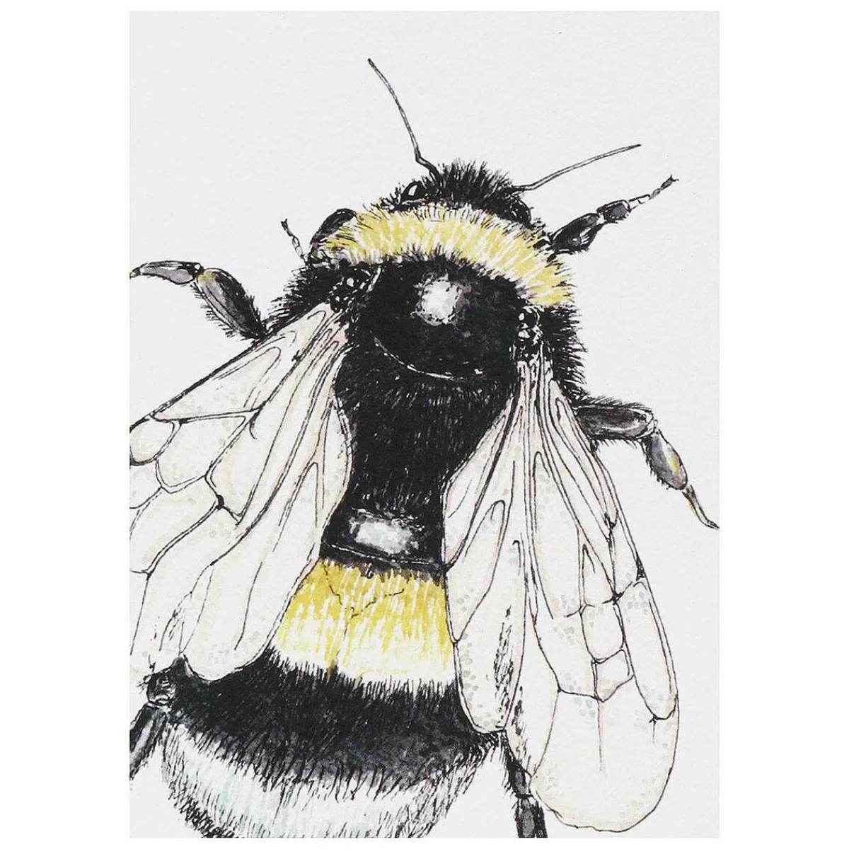 'spring To Summer' Notecards Mixed Set Of 8>Toasted Crumpet Discount