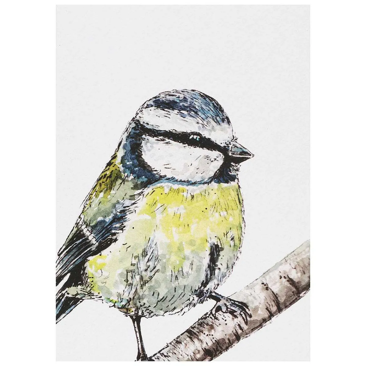 'spring To Summer' Notecards Mixed Set Of 8>Toasted Crumpet Discount