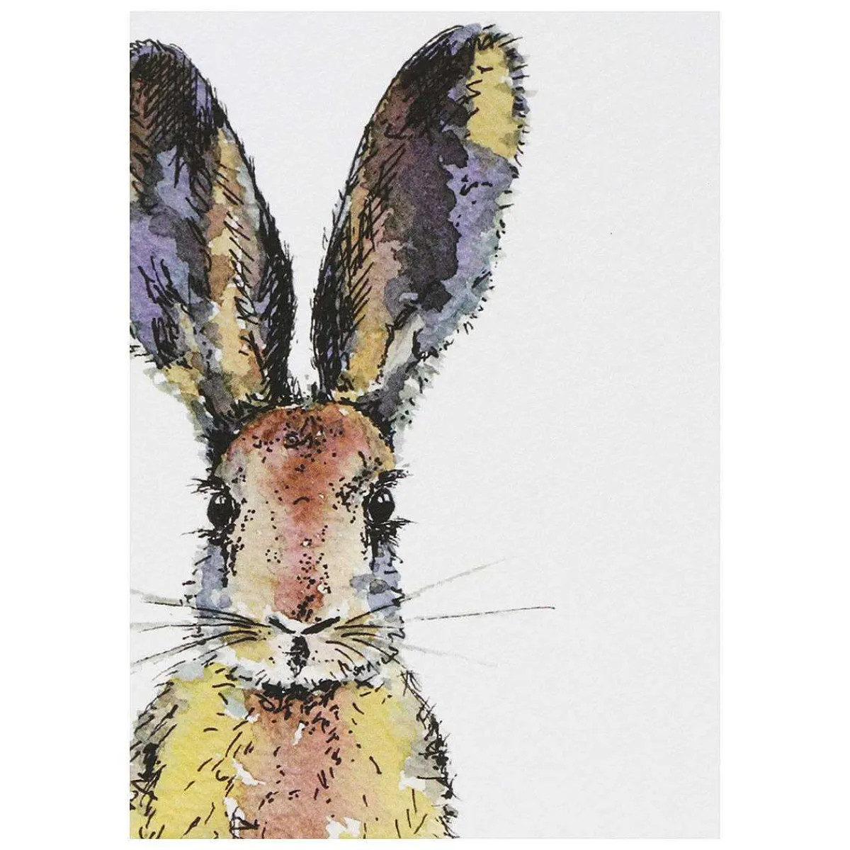 'spring To Summer' Notecards Mixed Set Of 8>Toasted Crumpet Discount
