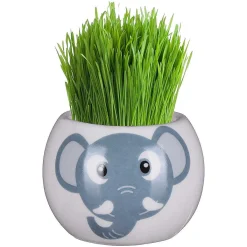Assorted Boutique Garden Jungle Adventure Collection Grass Hair Kit>Widdop & Co Discount