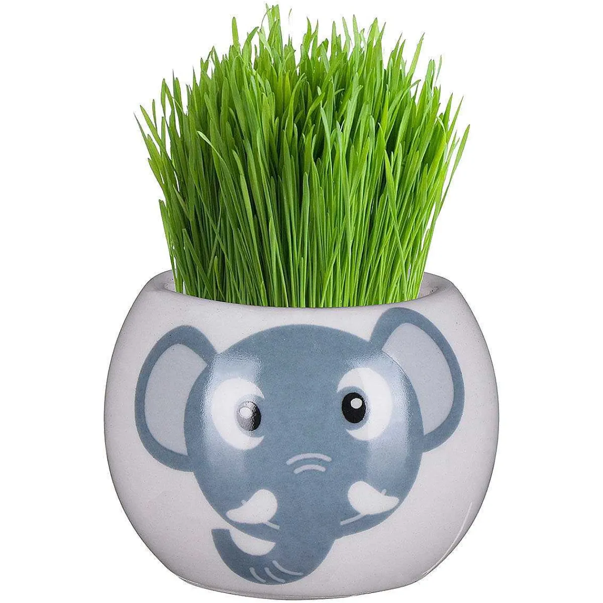 Assorted Boutique Garden Jungle Adventure Collection Grass Hair Kit>Widdop & Co Discount