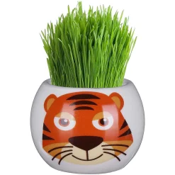 Assorted Boutique Garden Jungle Adventure Collection Grass Hair Kit><noscript><img width=
