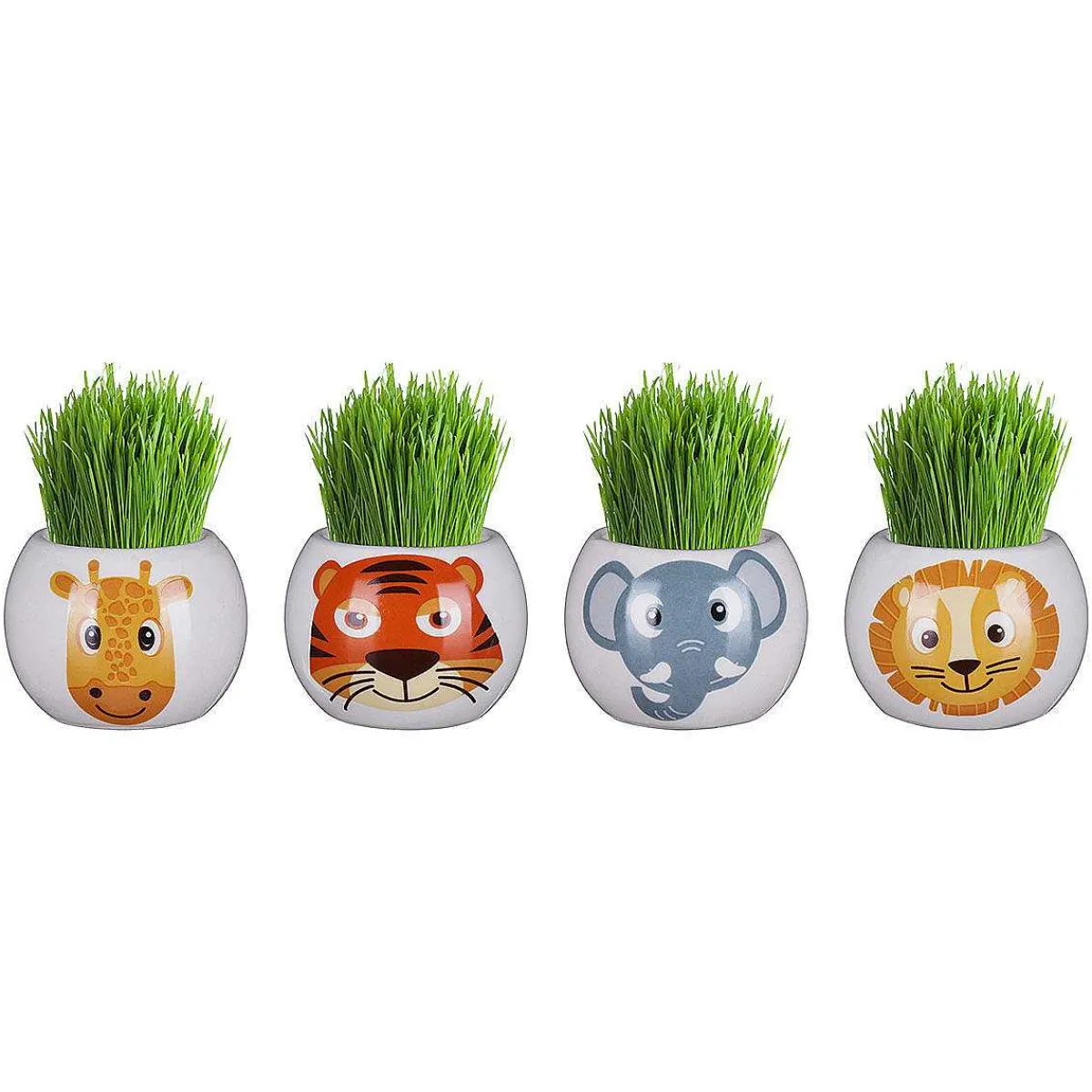 Assorted Boutique Garden Jungle Adventure Collection Grass Hair Kit>Widdop & Co Discount