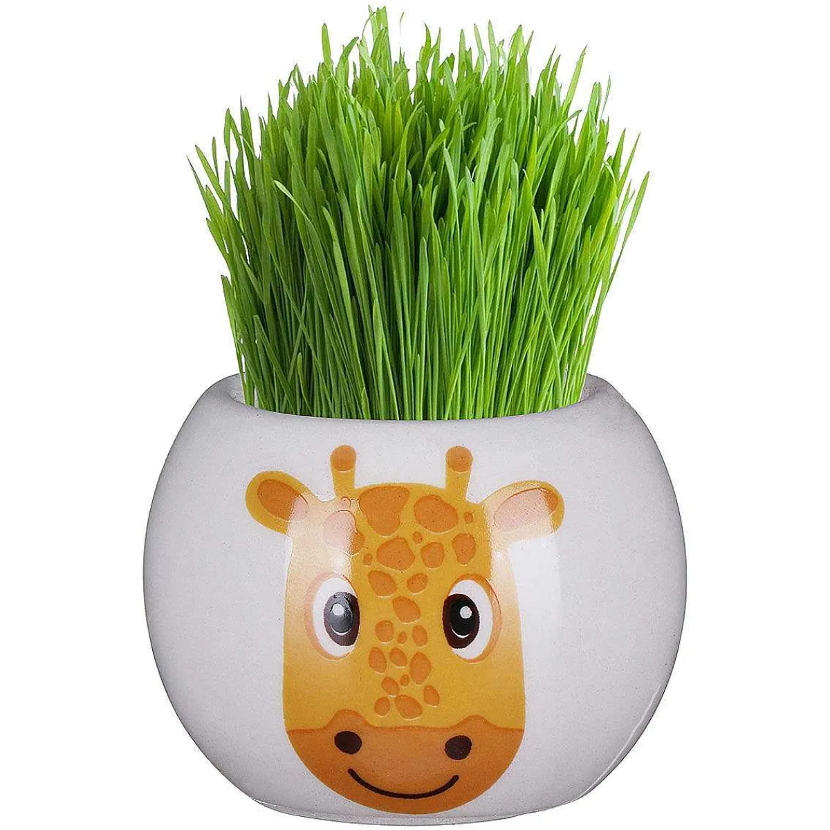 Assorted Boutique Garden Jungle Adventure Collection Grass Hair Kit>Widdop & Co Discount