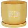 Country Living Rooting For You Ceramic Plant Pot>Widdop & Co Shop