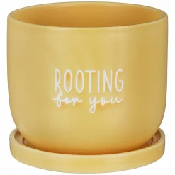 Country Living Rooting For You Ceramic Plant Pot>Widdop & Co Shop