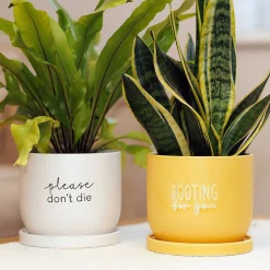 Country Living Rooting For You Ceramic Plant Pot><noscript><img width=