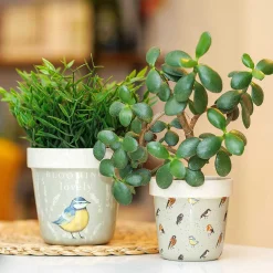 Country Living 'Blooming Lovely' Garden Birds Set Of Two Ceramic Planters>Widdop & Co Flash Sale