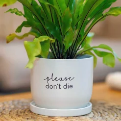 Country Living Please Don'T Die Ceramic Plant Pot><noscript><img width=