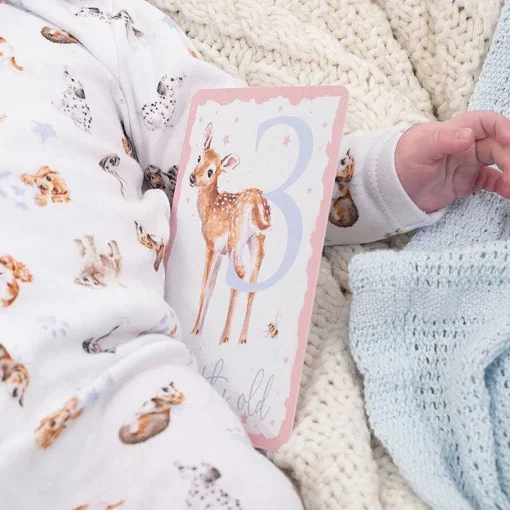 Baby Milestone Cards>Wrendale Hot
