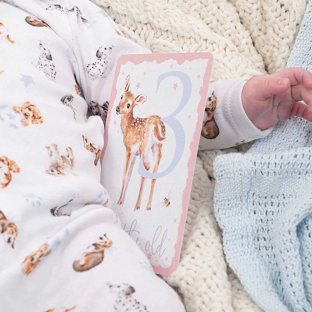 Baby Milestone Cards>Wrendale Hot