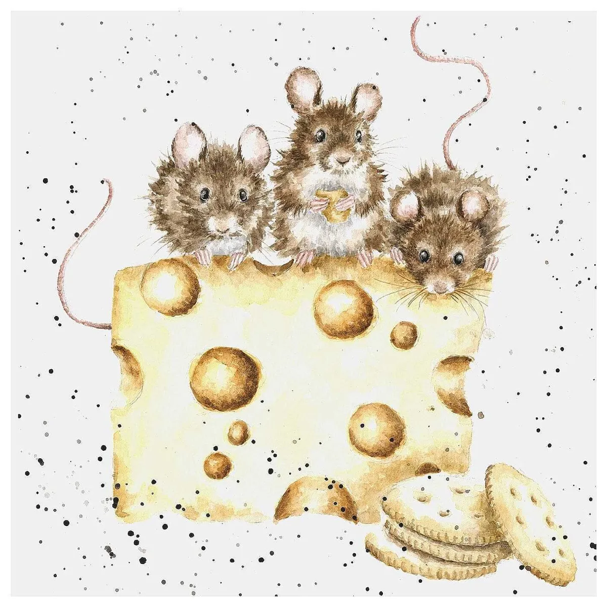 'Crackers About Cheese' Mouse Greetings Card>Wrendale Online