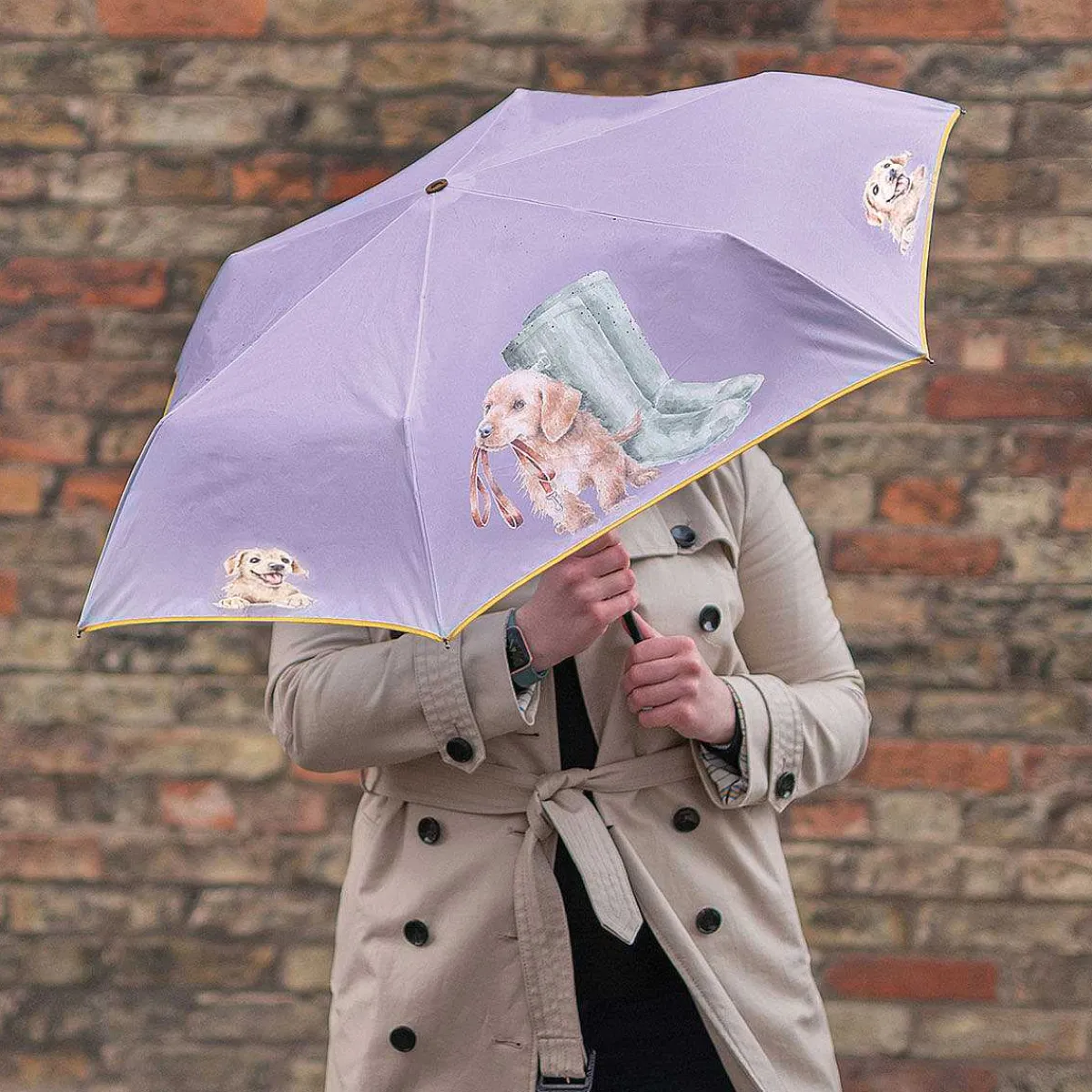Dog 'Hopeful' Umbrella>Wrendale Best Sale