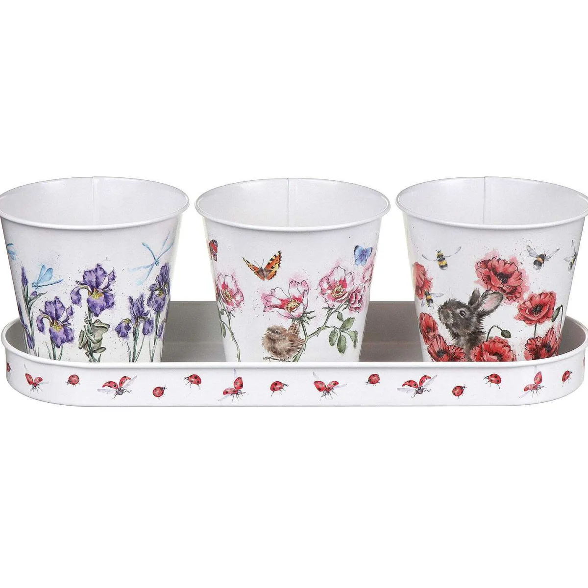 Floral Herb Pots And Tray>Wrendale New