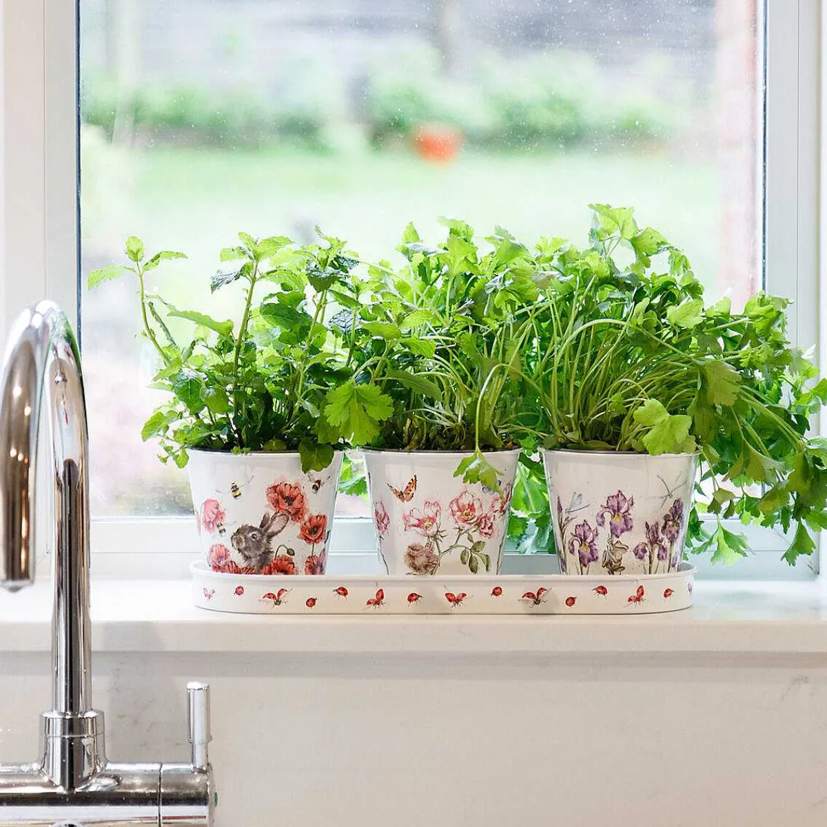 Floral Herb Pots And Tray>Wrendale New