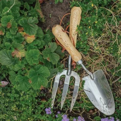 Fork And Trowel Set><noscript><img width=