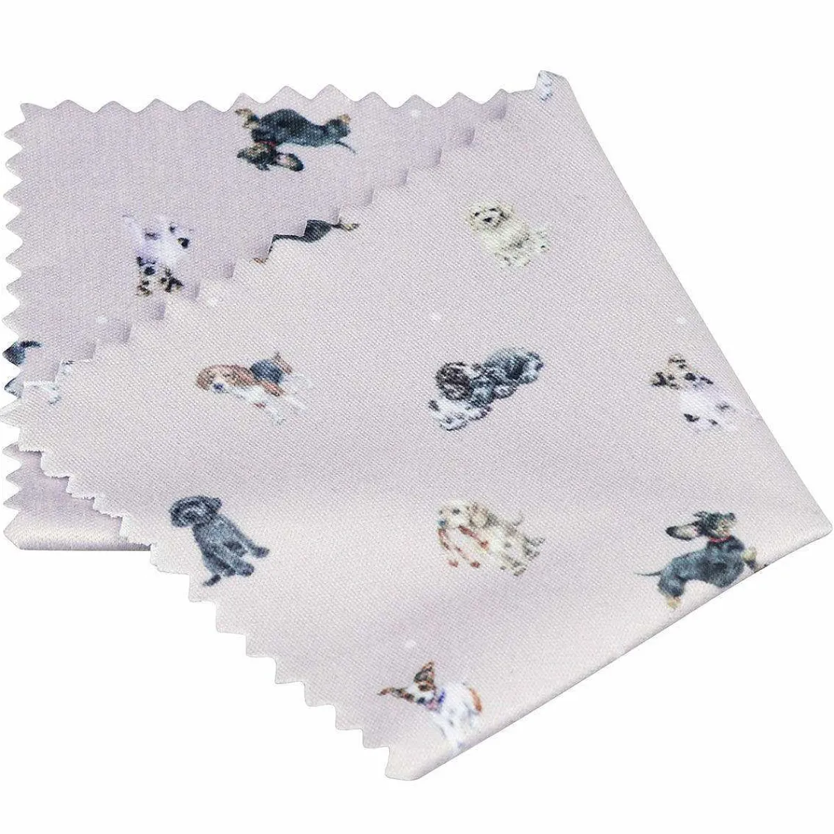 'Growing Old Together' Dog Glasses Case>Wrendale Best