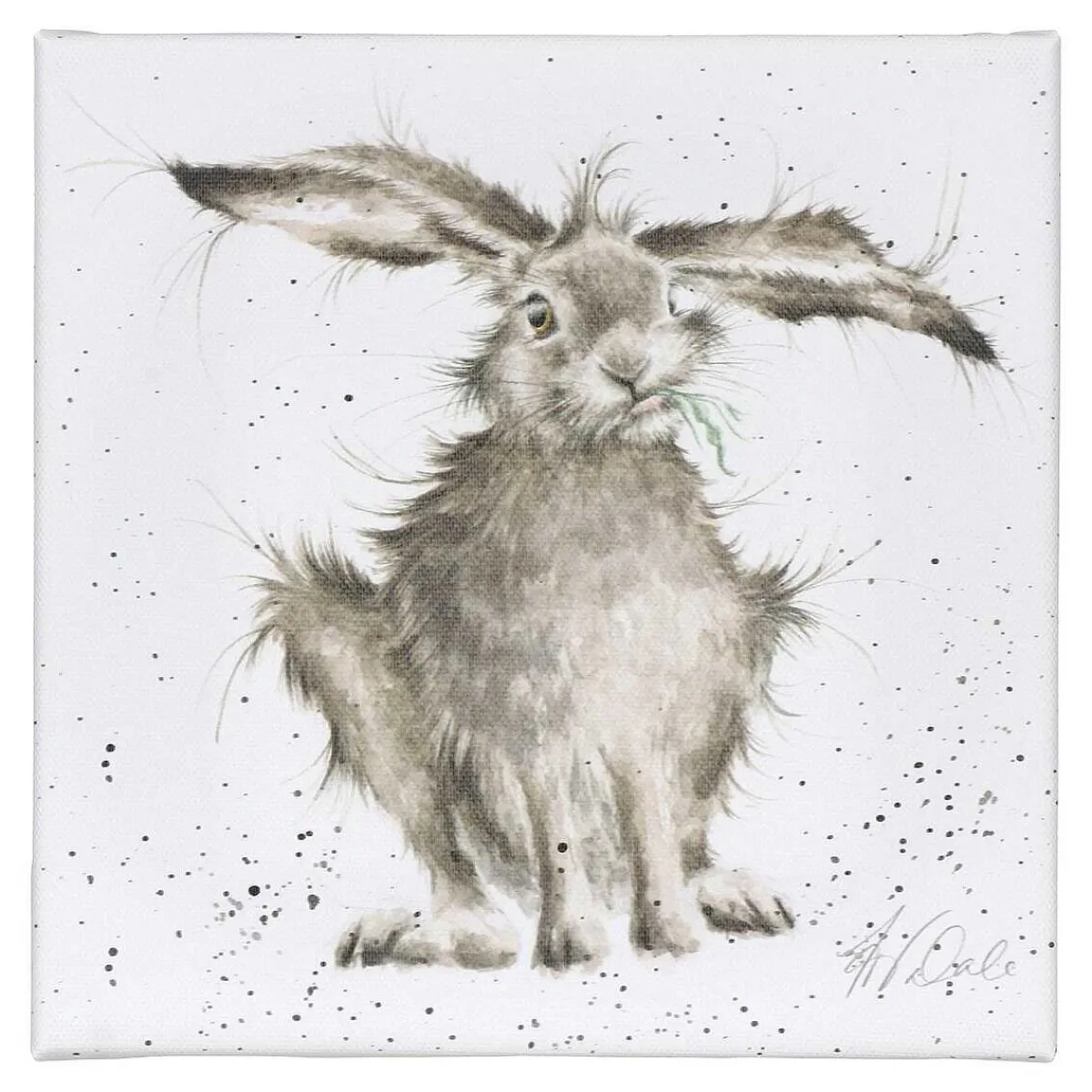 'Hare-Brained' Hare Small Canvas>Wrendale Store