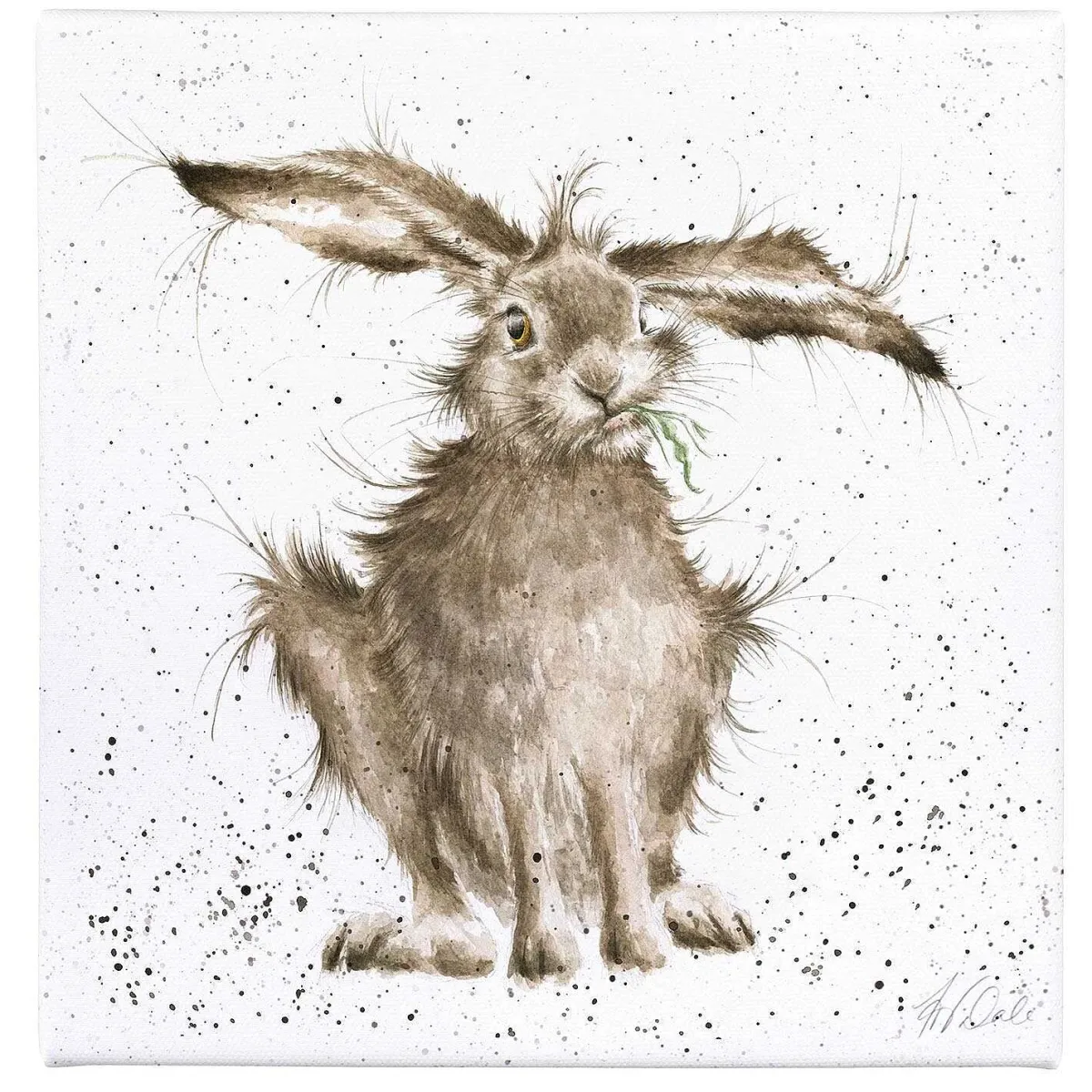 'Hare-Brained' Large Canvas>Wrendale Store