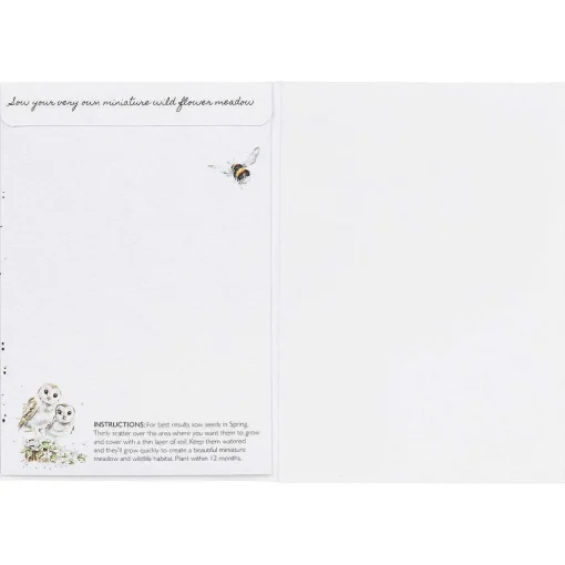 'Hooting For You' Owl Seed Card>Wrendale Sale