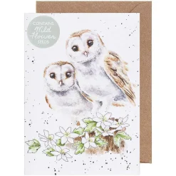 'Hooting For You' Owl Seed Card>Wrendale Sale