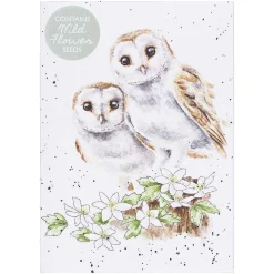 'Hooting For You' Owl Seed Card><noscript><img width=