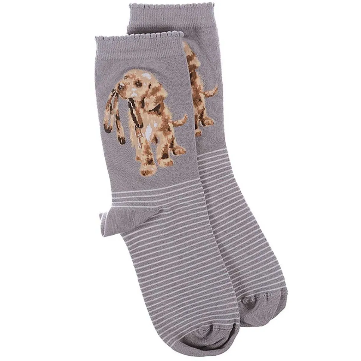 'Hopeful' Purple Dog Women's Bamboo Socks>Wrendale New
