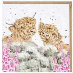 'Just For Moo' Highland Cow Greetings Card>Wrendale Discount
