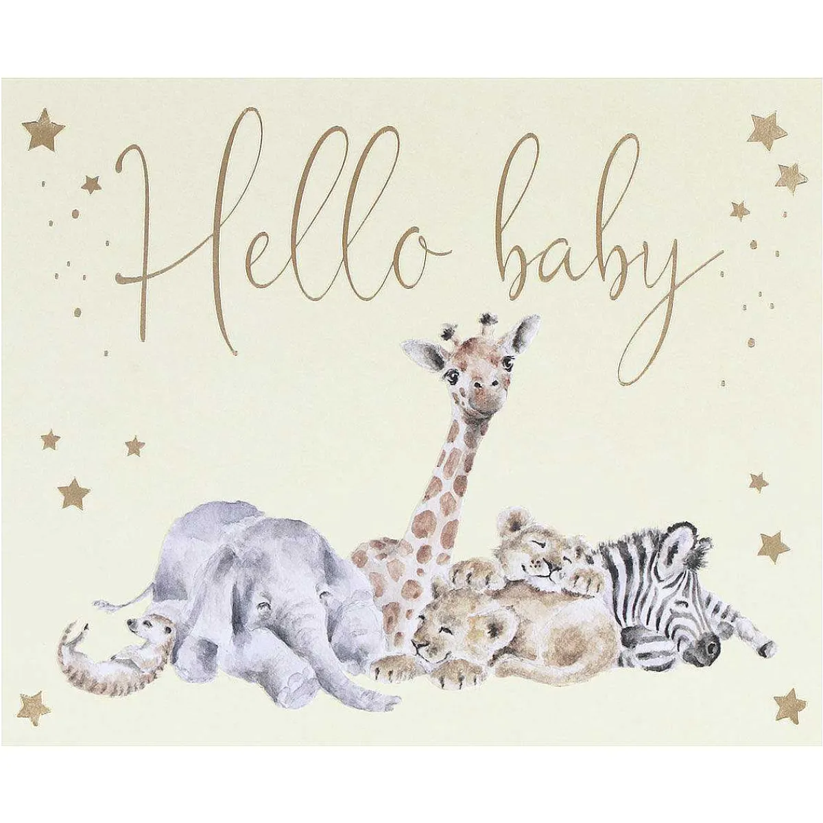 Little Savannah Hello Baby Card>Wrendale Online