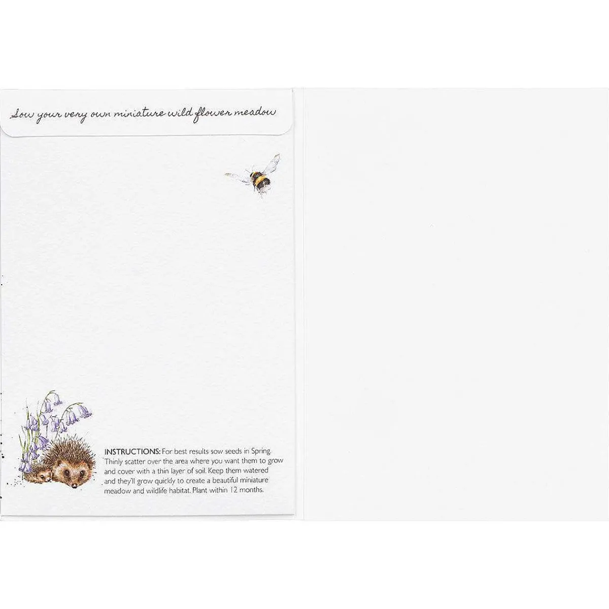 'Love And Hedgehugs' Hedgehog Seed Card>Wrendale Store