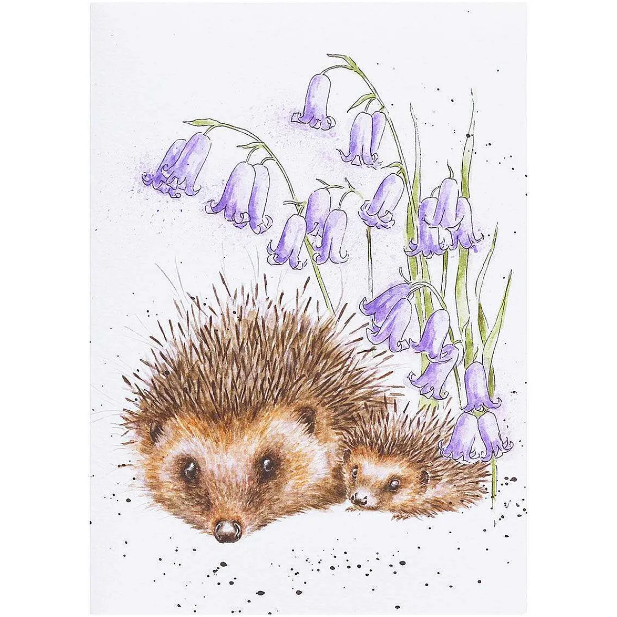 'Love And Hedgehugs' Hedgehog Seed Card>Wrendale Store