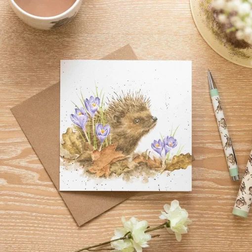 'New Beginnings' Hedgehog Greetings Card>Wrendale Discount