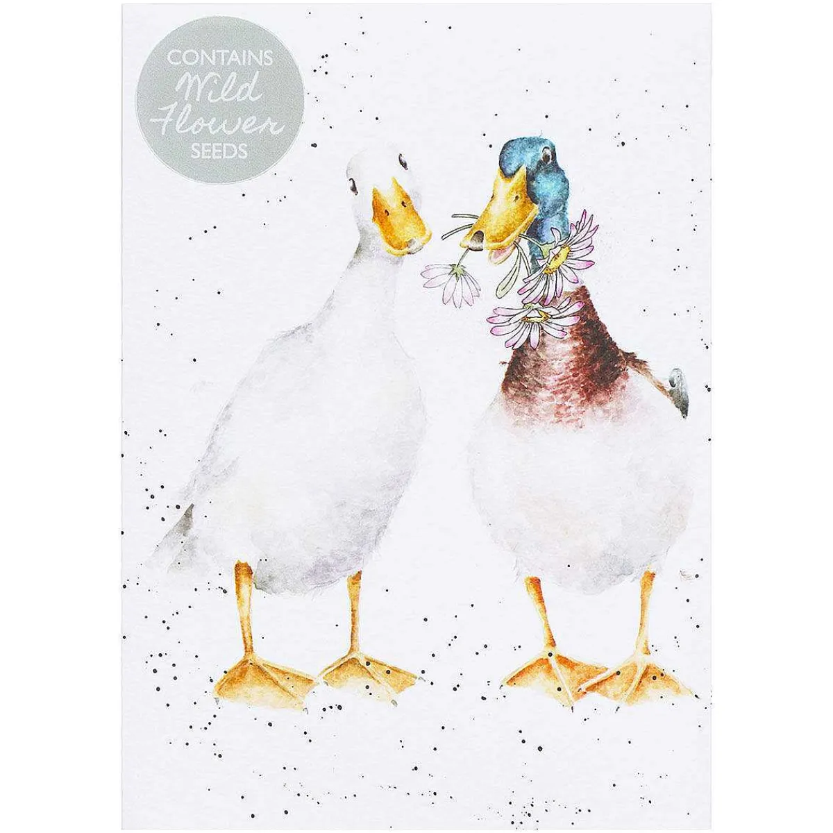 'Not A Daisy Goes By' Duck Seed Card>Wrendale Store